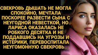 Свекровь не могла успокоиться, мечтая развести сына, но невестка оказалась мудрее...