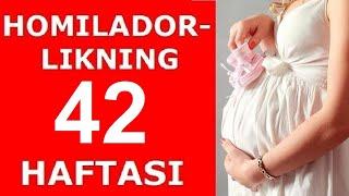 HOMILADORLIKNING 42-HAFTASI / ХОМИЛАДОРЛИКНИНГ 42-ХАФТАСИ