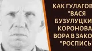 Уничтожитель ссученных — вор в законе Василий Бузулуцкий Биография