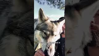 Man adopts puppy, realizes something’s wrong a year later #animals #pets  #shorts