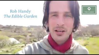 Rob Handy's Edible Forest Garden