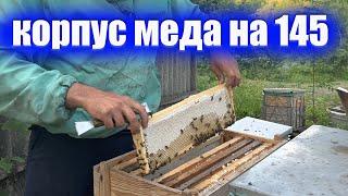 Этот улей меня удивил корпусом меда рогатый на 145 рамку