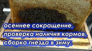 СОКРАЩЕНИЕ, ПРОВЕРКА КОРМОВ, СБОРКА ГНЕЗДА В ЗИМУ.