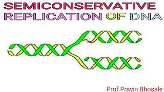 Semi-conservative replication of DNA | Pravin Bhosale