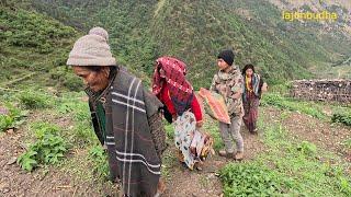 happy people welcome to new member in their family || Nepal ||
