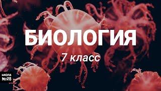 7 класс - Биология.Тема:Опорно-двигательная система  - 14.04.2020