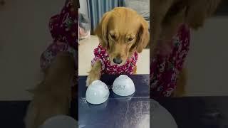 He got a small reward… but missed the big one.