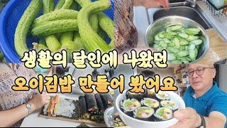 생활의 달인에 나왔던 김밥 만들어 보았어요 재배한 오이라 더 맛있어요