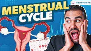 Menstrual Cycle Phases Nursing | Follicular Phase & Luteal Phase Med Surg