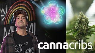 Florida’s Most Exclusive Cannabis Genetics Hub: Inside The Flowery