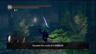 Dark Souls PvP: Can I Greatsword?