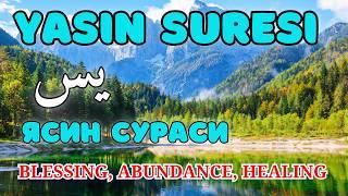 Surah Yasin (Yaseen) | Beautiful Recitation