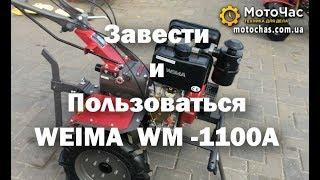 Как завести мотоблок  Weima WM -1100А и пользоваться