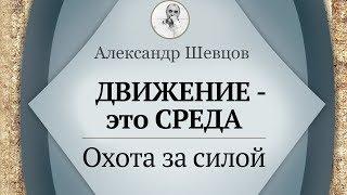 Движение - среда. Охота за силой | Шевцов Александр