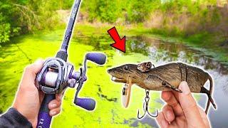 World's LARGEST Rat Lure Catches GIANT Bass (Lake Fishing)