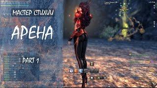 Blade and Soul: Арена Мастер Стихии