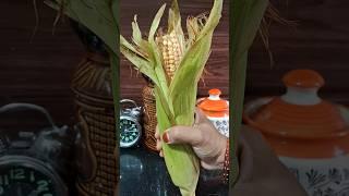 super  sweet corn  masala recipe  #shortsvideo #foodvideos #shorts #trending #viralshort#corn