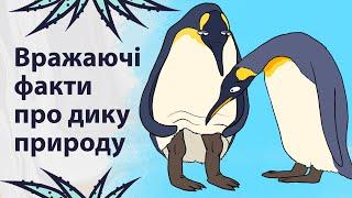 Маловідомі факти про тварин | Реддіт українською