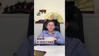 Прогноз для БЫКА на 2023 год #годкролика2023 #бацзы #прогноз2023