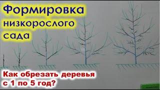 Как формировать НИЗКОРОСЛЫЙ САД