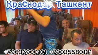 Краснодар. Ташкент. Автобус#Krasnodar Tashkent#Krasnodar Tashkent avtobus#Сочи Ташкент автобус ￼￼