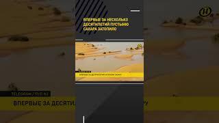 Впервые за несколько десятилетий пустыню Сахара затопило #shorts #short #новости