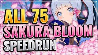 ALL 75 SAKURA BLOOM LOCATIONS! (DETAILED + EFFICIENT ROUTE!) Genshin Impact Farming Route Inazuma