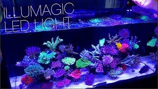 Illumagic Makes Some Really Cool LED Lights!