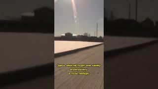 Оставь надежду всяк сюда входящий | Полярная сова | Вологодский пятак | Снежинка
