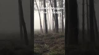 Омар Хайям - Мудрые стихи о жизни