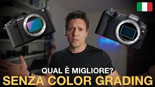 Sony ZV-E1 VS Canon R8 Senza Fare Color Grading - Profili di Default