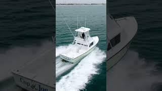 1974 Bertram 31' Flybridge | $149,000 #fishing #boat #viral #reels