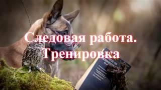 Тренировка следовой работы в городских условиях. "Школа Гайдука"