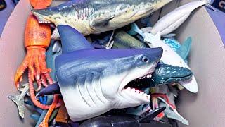 Fun Shark Toys! Great White Shark, Hammerhead, Zebra Shark, Mako Shark, Basking Shark, Whaleshark