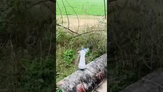 aluminum foil and Plastic bottle experiment #shorts #science #chemistry #educationalvideo