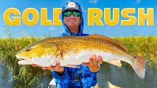 America's Fishing Gold Rush! Redfish in the Marsh (Venice, Louisiana)