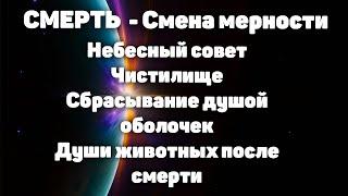 Смена мерности, небесный совет, чистилище, души животных.