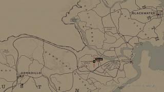 Red Dead Online:  Hennigan's Stead [North] Treasure (RDR2)