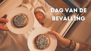 DAG VAN DE BEVALLING | SEM DE CONINCK