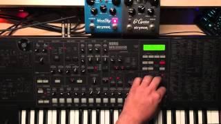 Korg MS2000B + Strymon ElCapistan & BlueSky Sequencing