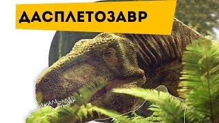 Про динозавров. ОХОТНИК на АНКИЛОЗАВРОВ Динозавр Дасплетозавр Daspletosaurus | Наука для детей