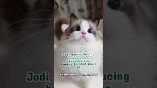 FAKTA UNIK KUCING YANG CATSLOVERS HARUS TAU #kucing #kucinglucu #catvideos #cat #fyp #fy #catslover