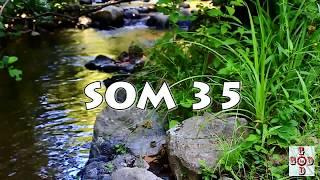 SOM 35