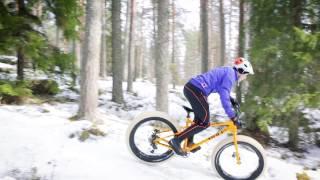 Pole EVOLINK vs. TAIGA RAW