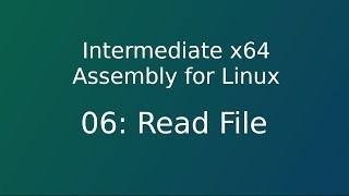 06 x64 asm : Read File