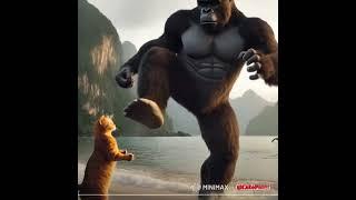 King Kong vs King Cat  #catfunny #cat #cuteanimals #cartoon #funny #king #kingkong