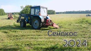 Сенокос 2024