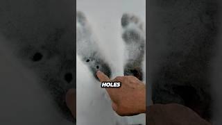 You’ve Never Heard About This Cold Water Effect!