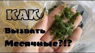 КАК ВЫЗВАТЬ МЕСЯЧНЫЕ?_ ВЕРНЫЙ СПОСОБ+ ЭФЕКТ ЗА 4 ДНЯ_ саша