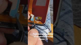 Замена экрана с отпечатком honor 10/Положение шлейфа сканера honor 10